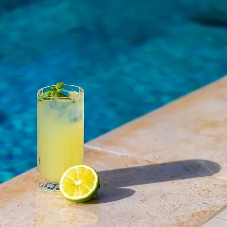 Koclu Konagi 알라카티