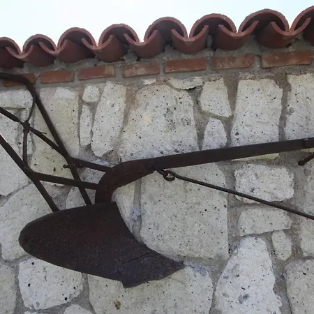 Koclu Konagi Gæstehus