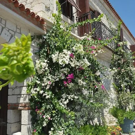 Koclu Konagi 알라카티