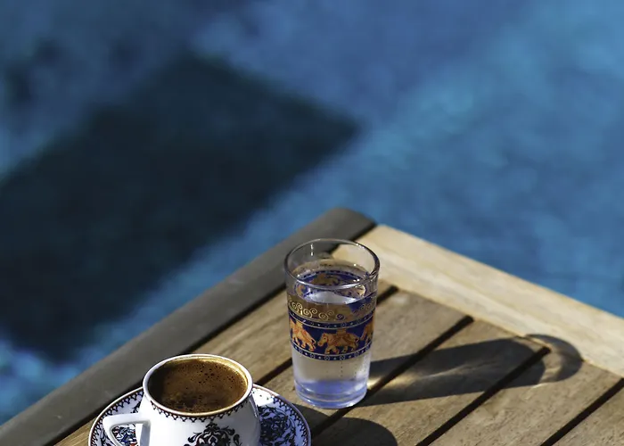 Maison d'hôtes Koclu Konagi 4*